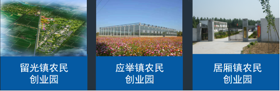 全力助推河南新鄉(xiāng)封丘縣委托招商引資，立足特色產(chǎn)業(yè)，打造魅力封丘