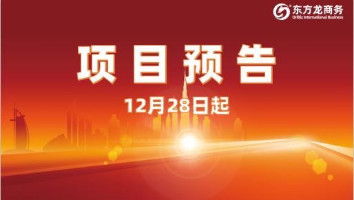 堅持高水準開發(fā)，高質(zhì)量對接！12月28日起，25家優(yōu)質(zhì)投資選址企業(yè)精準對接全國政府園區(qū)