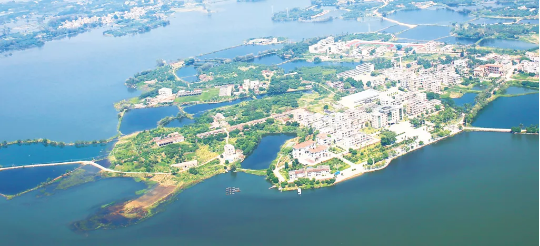 集團(tuán)全力助推廣東湛江廉江市委托招商引資，圍繞優(yōu)勢(shì)產(chǎn)業(yè)補(bǔ)鏈、強(qiáng)鏈、延鏈
