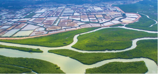 集團(tuán)全力助推廣東湛江廉江市委托招商引資，圍繞優(yōu)勢(shì)產(chǎn)業(yè)補(bǔ)鏈、強(qiáng)鏈、延鏈