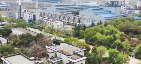 集團全力助推河南開封順河回族區(qū)委托招商引資，突出特色優(yōu)勢，強化精準賦能，提升經(jīng)濟活力