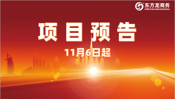 搶抓進博機遇，堅持一線開發(fā)！11月6日起，17家優(yōu)質(zhì)投資選址企業(yè)精準對接全國政府園區(qū)