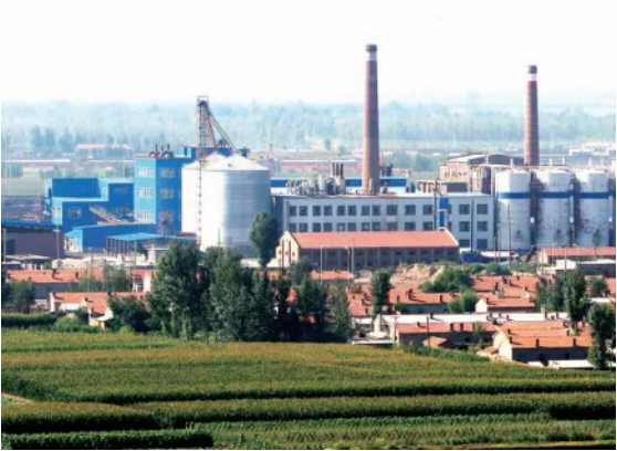 集團(tuán)全力助推內(nèi)蒙古自治區(qū)通遼市委托招商引資，強(qiáng)勢(shì)打造五大產(chǎn)業(yè)集群高質(zhì)量發(fā)展新格局