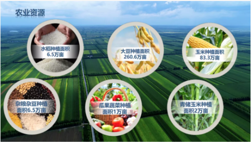 集團全力助推黑龍江齊齊哈爾拜泉縣委托招商引資，立足資源優(yōu)勢，開辟產(chǎn)業(yè)集群高質(zhì)量發(fā)展新高地
