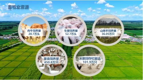 集團全力助推黑龍江齊齊哈爾拜泉縣委托招商引資，立足資源優(yōu)勢，開辟產(chǎn)業(yè)集群高質(zhì)量發(fā)展新高地