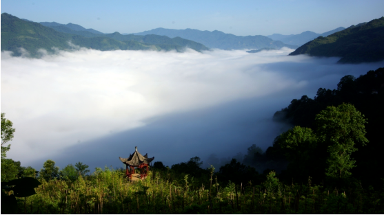 集團(tuán)全力助推甘肅隴南康縣委托招商引資，以綠色發(fā)展推動(dòng)鄉(xiāng)村振興