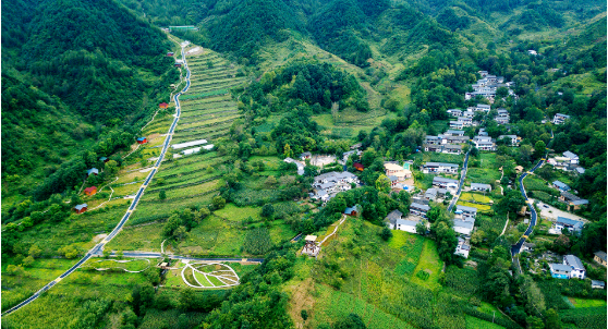 集團(tuán)全力助推甘肅隴南康縣委托招商引資，以綠色發(fā)展推動(dòng)鄉(xiāng)村振興