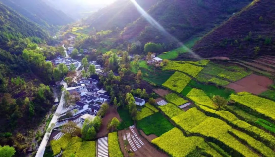 集團(tuán)全力助推甘肅隴南康縣委托招商引資，以綠色發(fā)展推動(dòng)鄉(xiāng)村振興