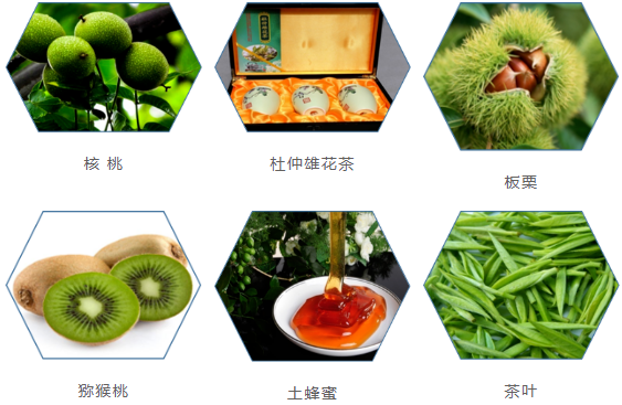 集團(tuán)全力助推甘肅隴南康縣委托招商引資，以綠色發(fā)展推動(dòng)鄉(xiāng)村振興