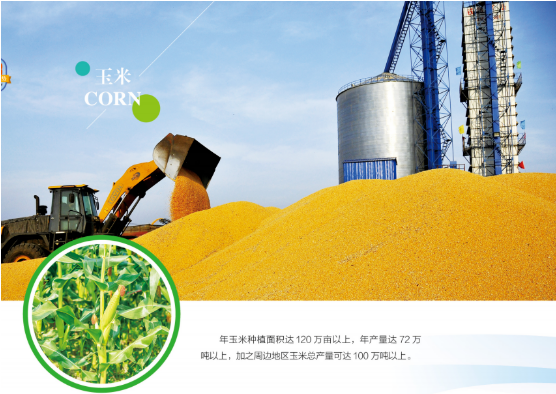 集團全力助推黑龍江嫩江市委托招商引資，以6大優(yōu)勢助推地方產(chǎn)業(yè)高質(zhì)量發(fā)展
