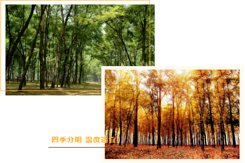 集團(tuán)全力助推河南商丘民權(quán)縣委托招商引資，奮力打造民權(quán)特色產(chǎn)業(yè)發(fā)展高地