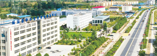 集團(tuán)全力助推陜西省城固縣委托招商引資，打造百億級(jí)產(chǎn)業(yè)集群