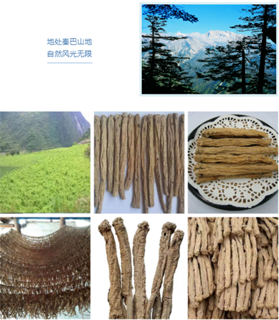 東方龍商務集團全力助推甘肅隴南文縣委托招商招商引資，重點構建特色農(nóng)業(yè)、優(yōu)勢工業(yè)、文旅康養(yǎng)三大產(chǎn)業(yè)集群