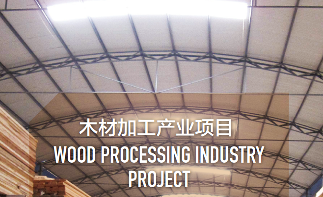 集團全力助推黑龍江省同江市委托招商引資，充分挖掘開發(fā)潛能，再次綻放邊陲魅力
