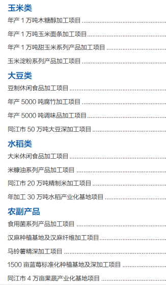集團全力助推黑龍江省同江市委托招商引資，充分挖掘開發(fā)潛能，再次綻放邊陲魅力