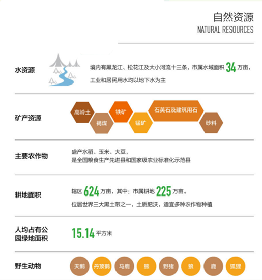 集團全力助推黑龍江省同江市委托招商引資，充分挖掘開發(fā)潛能，再次綻放邊陲魅力