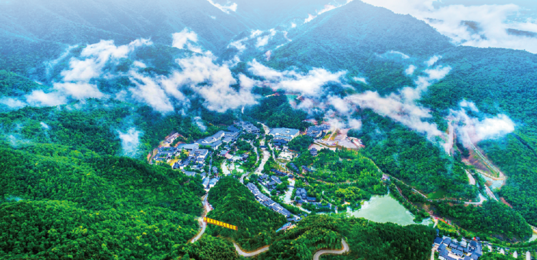 集團全力助推黑龍江省同江市委托招商引資，充分挖掘開發(fā)潛能，再次綻放邊陲魅力